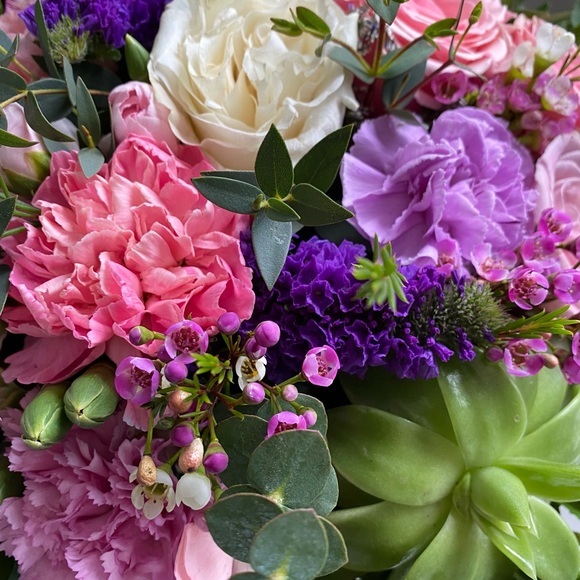 Meet your Posher, Mai - Picture 1 of 1